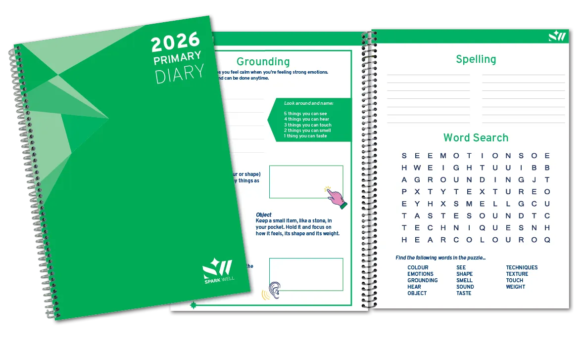 Primary School Diary Activities